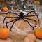 4ft. Halloween Spider with 26 Purple Battery-Operated Steady On LED Lights